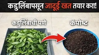 कडुलिंबाच्या पानांचे जादुई खत | झाडांसाठी रामबाण उपाय