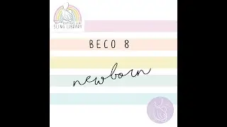 Beco 8 with newborn insert