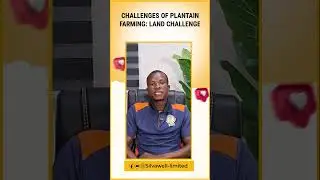 CHALLENGES OF PLANTAIN CULTIVATION: LAND CHALLENGES