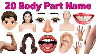 20 Body Parts Names in English | Body Parts for Kids | Learn Body Parts | Kids Vocabulary kids video