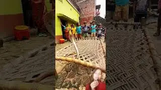 О боже 😀 😲 😱 #короткоевидео #змея 🐍