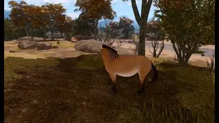 Solstice Sun Session: 1/9/2026: Stag Goes, His Mother Splits