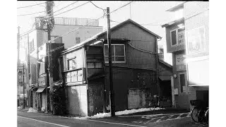 End of winter 2024 /  ILFORD DELTA 3200