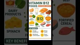 Top Vitamin B12 Foods & Amazing Health Benefits #healthtips #healthyfood #shorts #vitaminb12
