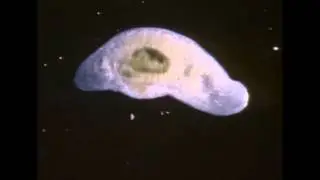 mentalEscape - Infection