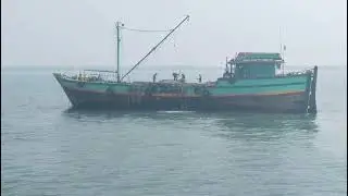 Creating a habitat with concrete blocks on the Kerala coast