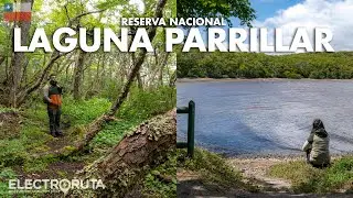 Laguna Parrillar: qué ver y por qué visitarla | Reservas Nacionales de Chile 2/45