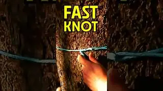 Timber Hitch: The FAST KNOT You NEED! (Quick Guide) #Shorts #tutorial #knot