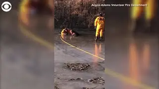 WEB EXTRA Firefighters rescue dog trapped in ice