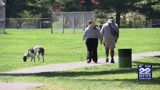 Protecting your pets from Covid-19