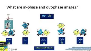 Basic MRI (5/5)- simplified and friendly