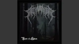 Years of Spleen