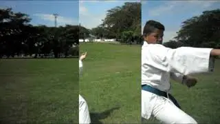 karate Lifestyle