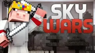 FRIENDSHIP! - Skywars Solo #27