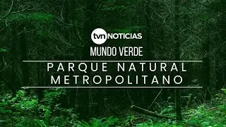 Mundo Verde: Parque Natural Metropolitano