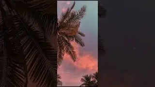 DRINK UP - Unreleased TikTok track
