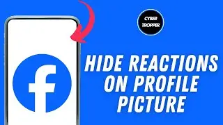 How To Hide Reactions on Facebook Profile Picture