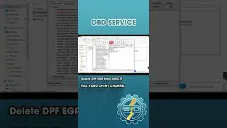 Delete DPF EGR Hino J05D-TF | OBDService