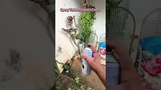 Problema resolvido do forro de porta de Gol