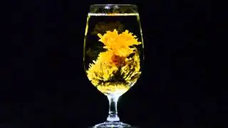 Vid&eacute;o  &eacute;closion de la fleur de th&eacute; vert artistique &laquo; Impression soleil levant &raquo;