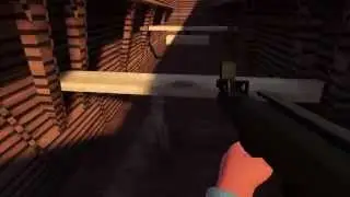 jump_momentum FLAWLESS World Record speedrun by Aurora (1:17.87)
