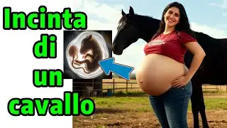Gravidanza della cavalla, la pancia che continua a crescere senza sosta, un finale che nessuno si