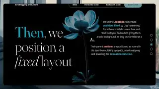 Exploring New Scroll Landing Animation Options (No Talking)