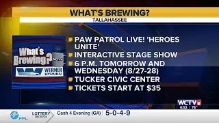What's Brewing - Paw Patrol Live! 'Heroes Unite'