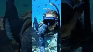 Лучше ли подводное плавание с аквалангом или плавание с маской и трубкой?