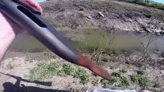 shooting snakes with pump and a big gar!