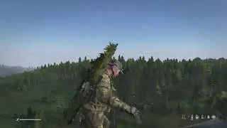 DayZ flying Bug