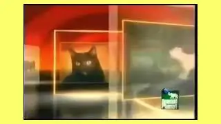 Animal icons