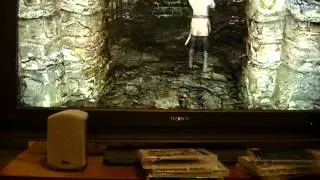 SKYRIM COOL BUG MUST WATCH 2014