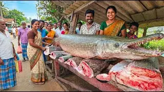 Amazing Village!! Biggest  Alligator Gar Fish Market Live Cutting Skills Sri Lanka