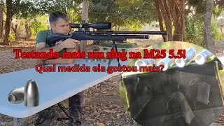 Testando mais um slug na M25 5.5! 217.5   #m25 #tiroesportivo #slugs #pcp