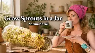 Grow Your Own Sprouts in a Jar at Home (No Sunlight or Dirt Needed!)🌱