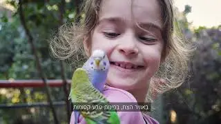 בית הספר הריאלי העברי בחיפה – היכרות מתחם מטוס 2020