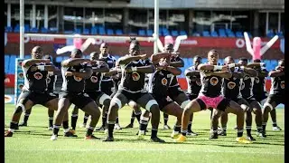 WSU All Blacks perform haka at Loftus