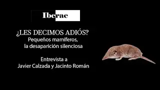 Peque&ntilde;os mam&iacute;feros, la desaparici&oacute;n silenciosa.