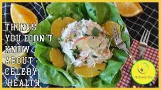 A PEEK THROUGH THE NUTRITIONAL FACTS OF CELERY ROOT (HEALTH BENEFITS)