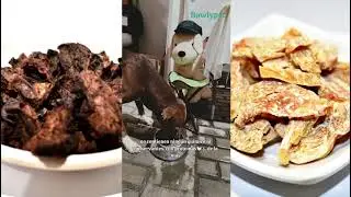 &iexcl;Con&oacute;cenos! Bowlypet, snack deshidratado 100% natural para perros y gatos