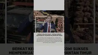 Berkat Kelapa Sawit, Jokowi Sukses Memperkuat Ekonomi Kalimantan Timur #shorts