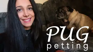 💜 ASMR Pug Eating Mouth Sounds, Dog Petting For Your Relaxation - No Talking mit meinem Mops Hund