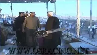 الجواد وجه العز : لاسطبل السهو