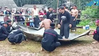 Debus Tri tunggal live kembang mbelor pacet 