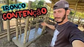 TRONCO DE CONTENÇÃO PARA CAVALOS