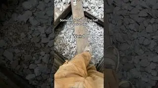 That&rsquo;s unusual #viral#reels#subscribe#trending#work