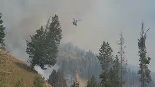 moose fire