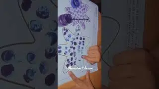 Finger Print Painting  #fingerprint #fingerprintpainting #alhumairaeducare sub @alhumairaeducare