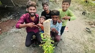 Papita Ka Ped Pani Mein Feka | Natural Disaster Vlog | Radheshyam Patel Vlogs 2025